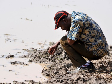 IVCC Supports World Pest Day