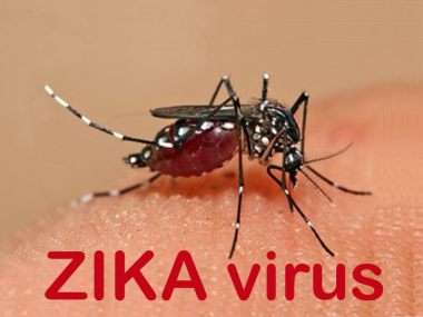 The Menace of Zika
