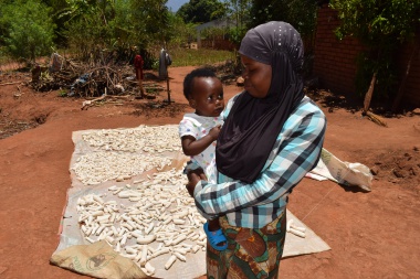 Mulanje Mission Hospital (MMH) and the Fight Against Malaria