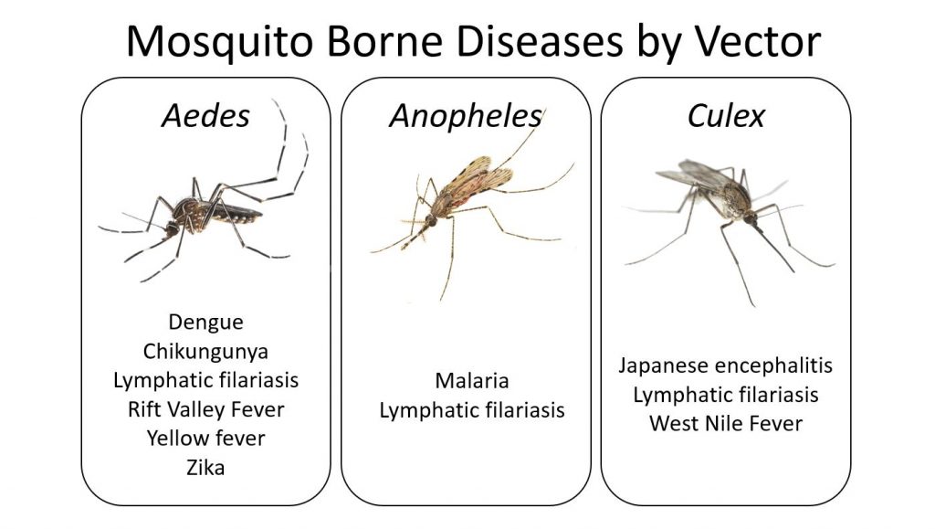 World Mosquito Day 2020 IVCC