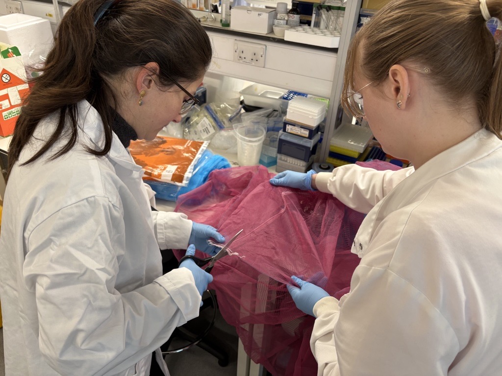Two scientists examining a net.
